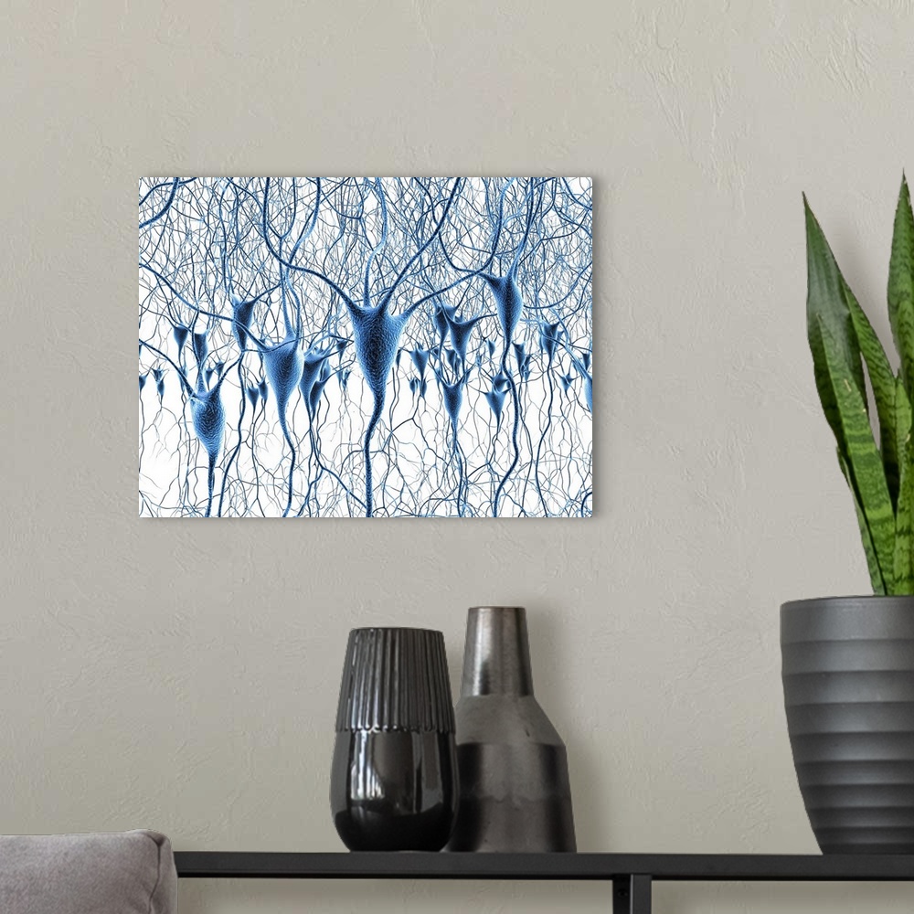 A modern room featuring Computer artwork of nerve cells, also called neurons. Neurons are responsible for passing informa...