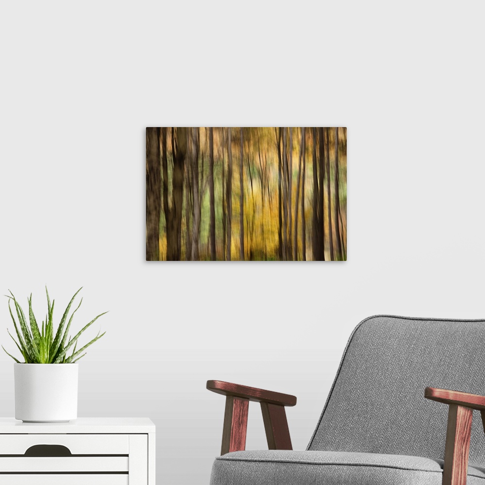 A modern room featuring Fall color with trees blurred