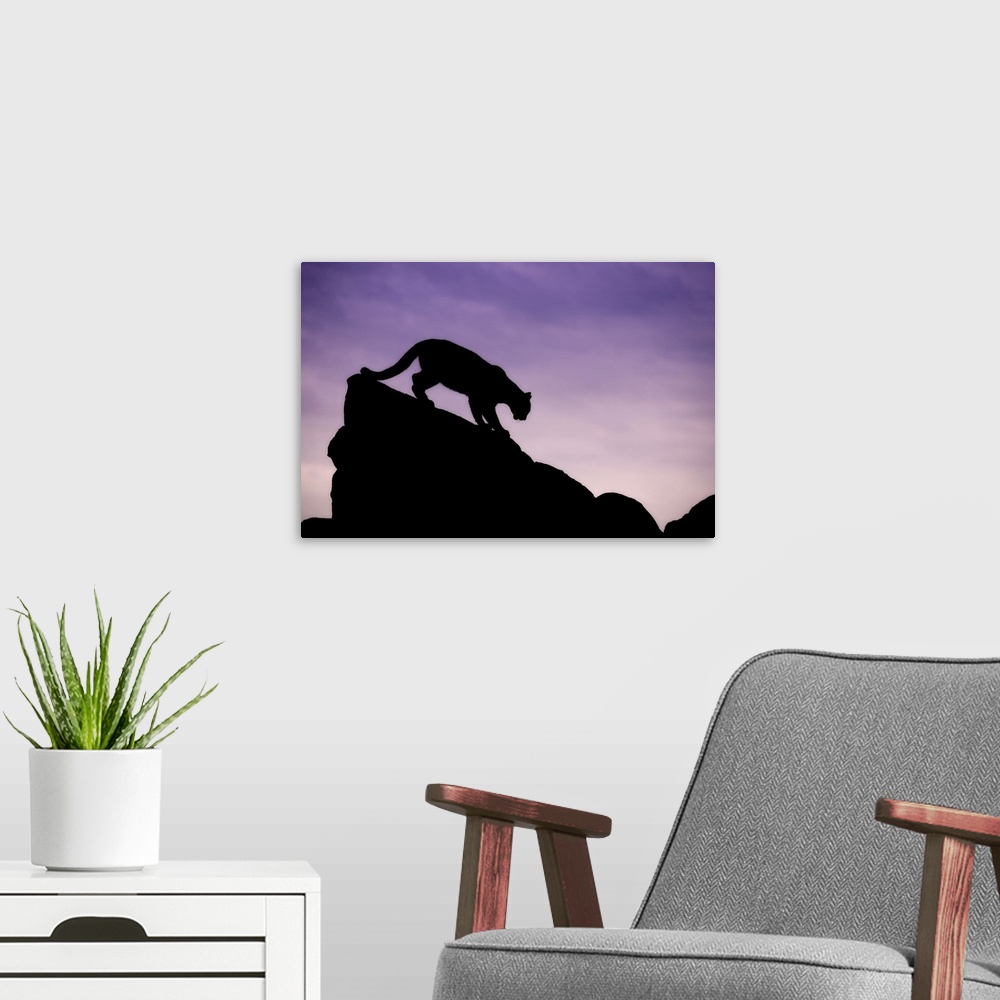 A modern room featuring Mountain Lion silhouette, Yosemite National Park, California