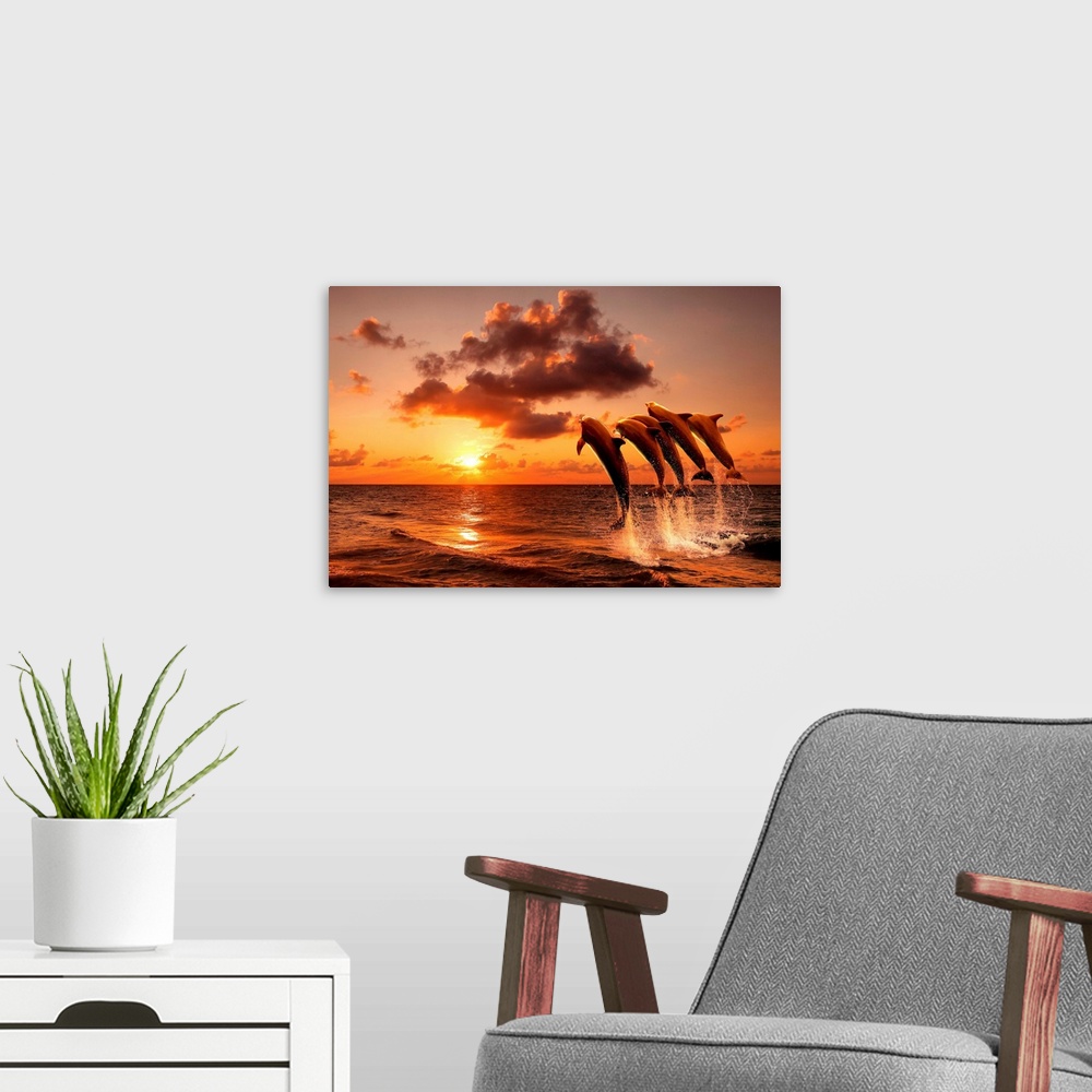 A modern room featuring Beautiful sunset with dolphins jumping of the water.