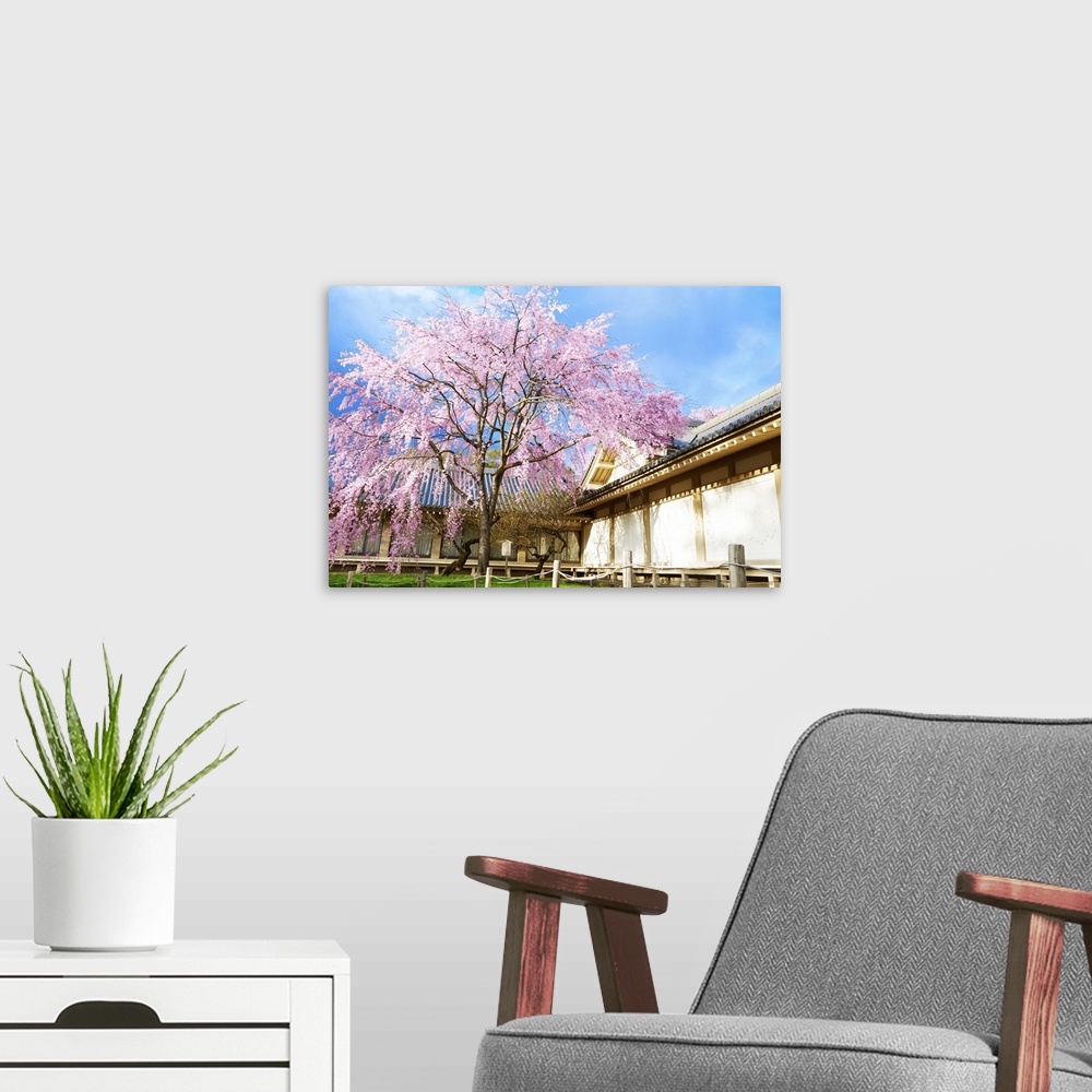 A modern room featuring Japanese Cherry Blossom With A Traditional House