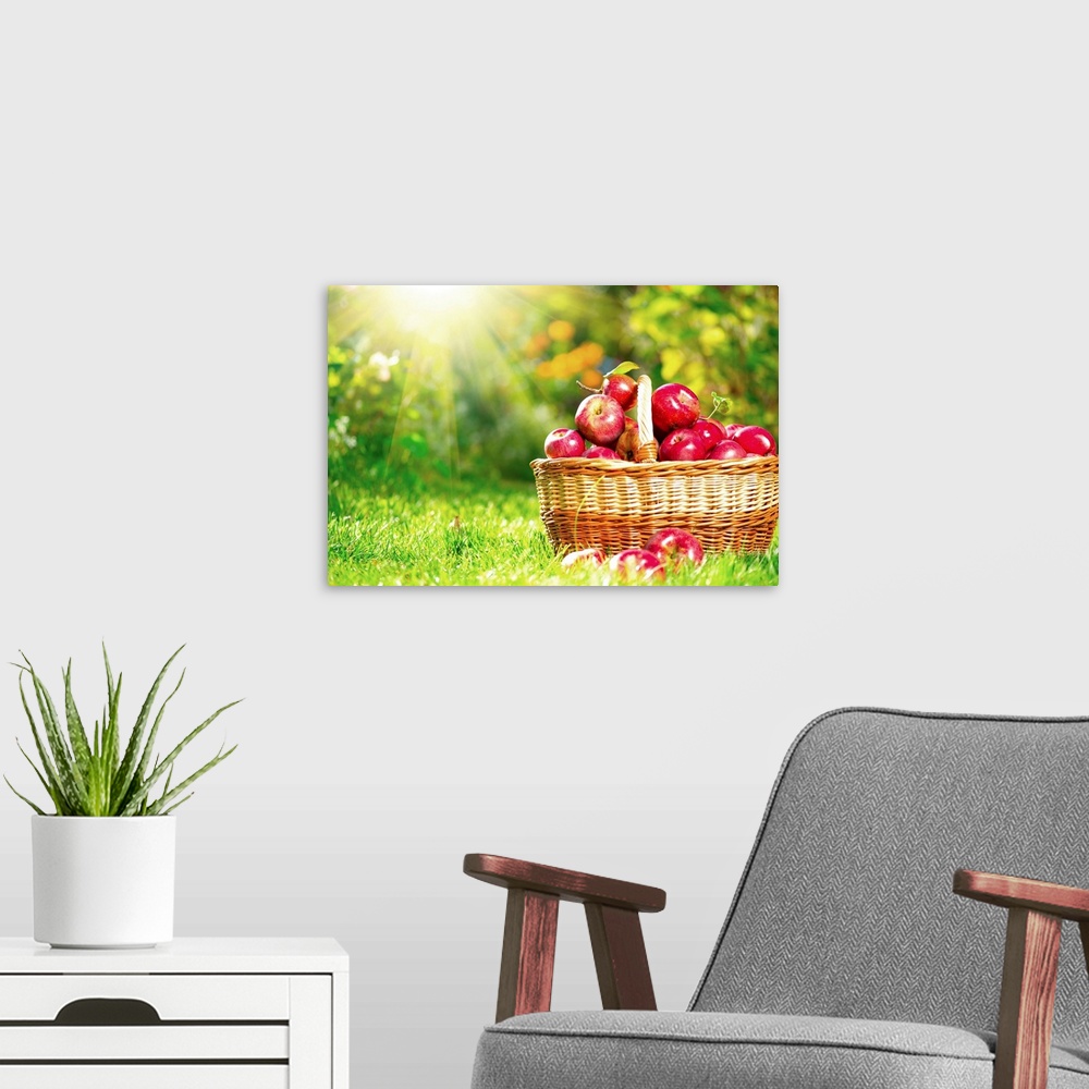 A modern room featuring Organic Apples in a Basket outdoors.
