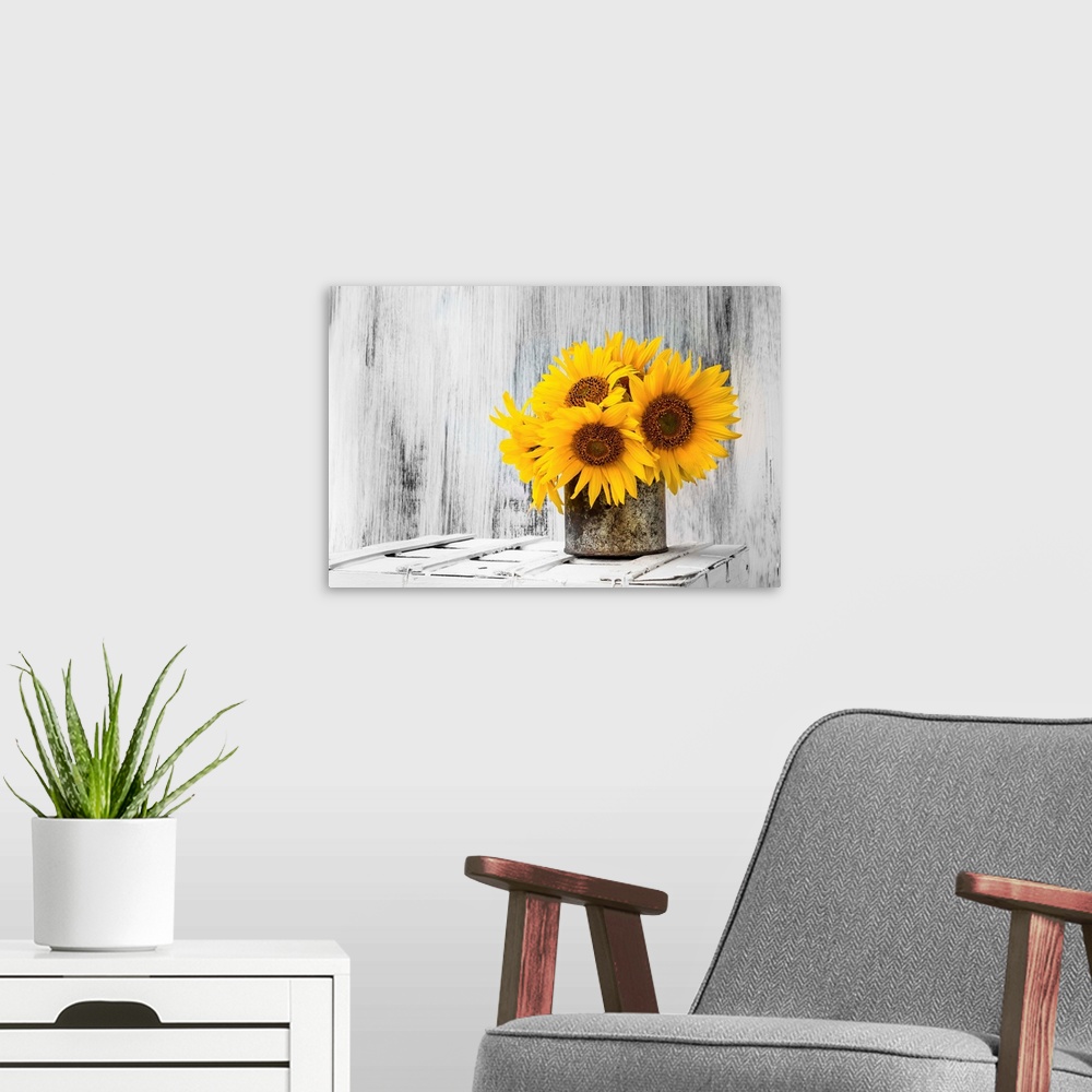 A modern room featuring Background Still Life Flower Sunflower Wooden White Vintage