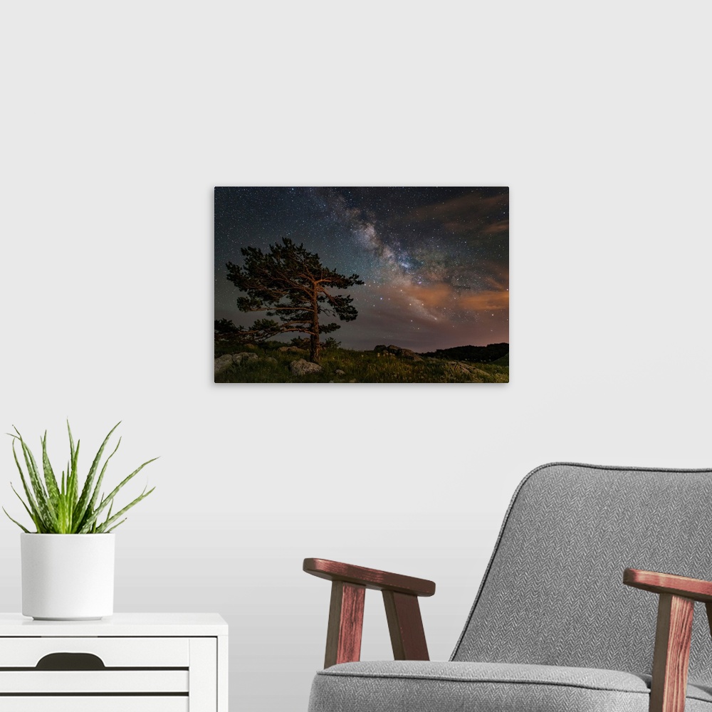 A modern room featuring A lone tree on top of a mountain under the stars and Milky Way, Crimea.