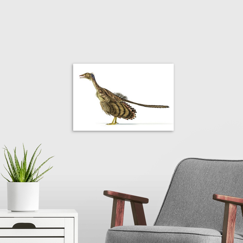 A modern room featuring Archaeopteryx dinosaur on white background.