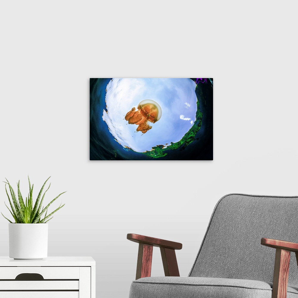 A modern room featuring Fish-eye lens view of a jellyfish, blue sky and the surrounding lush forest.