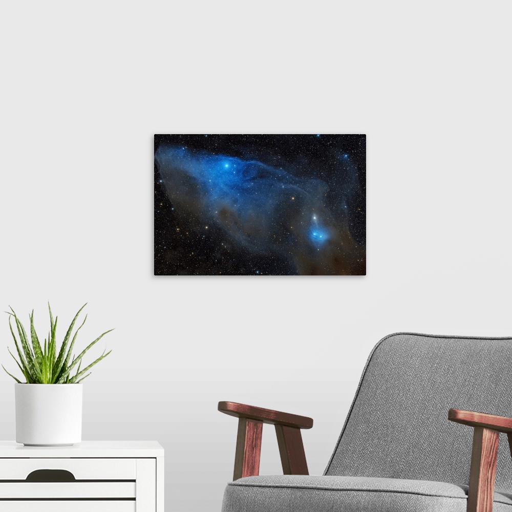 A modern room featuring Reflection nebula IC 4601 in the constellation Scorpius.