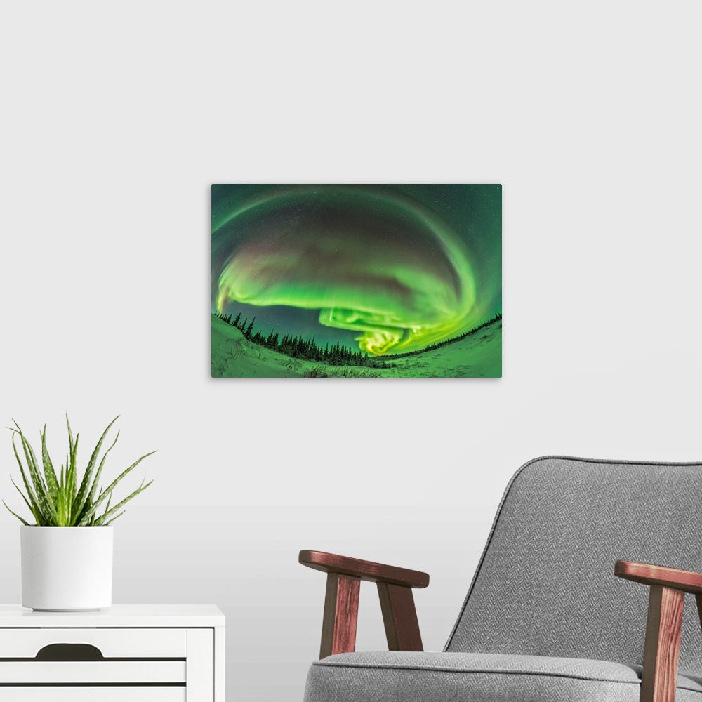 A modern room featuring The aurora borealis in a modest display from Churchill, Manitoba.