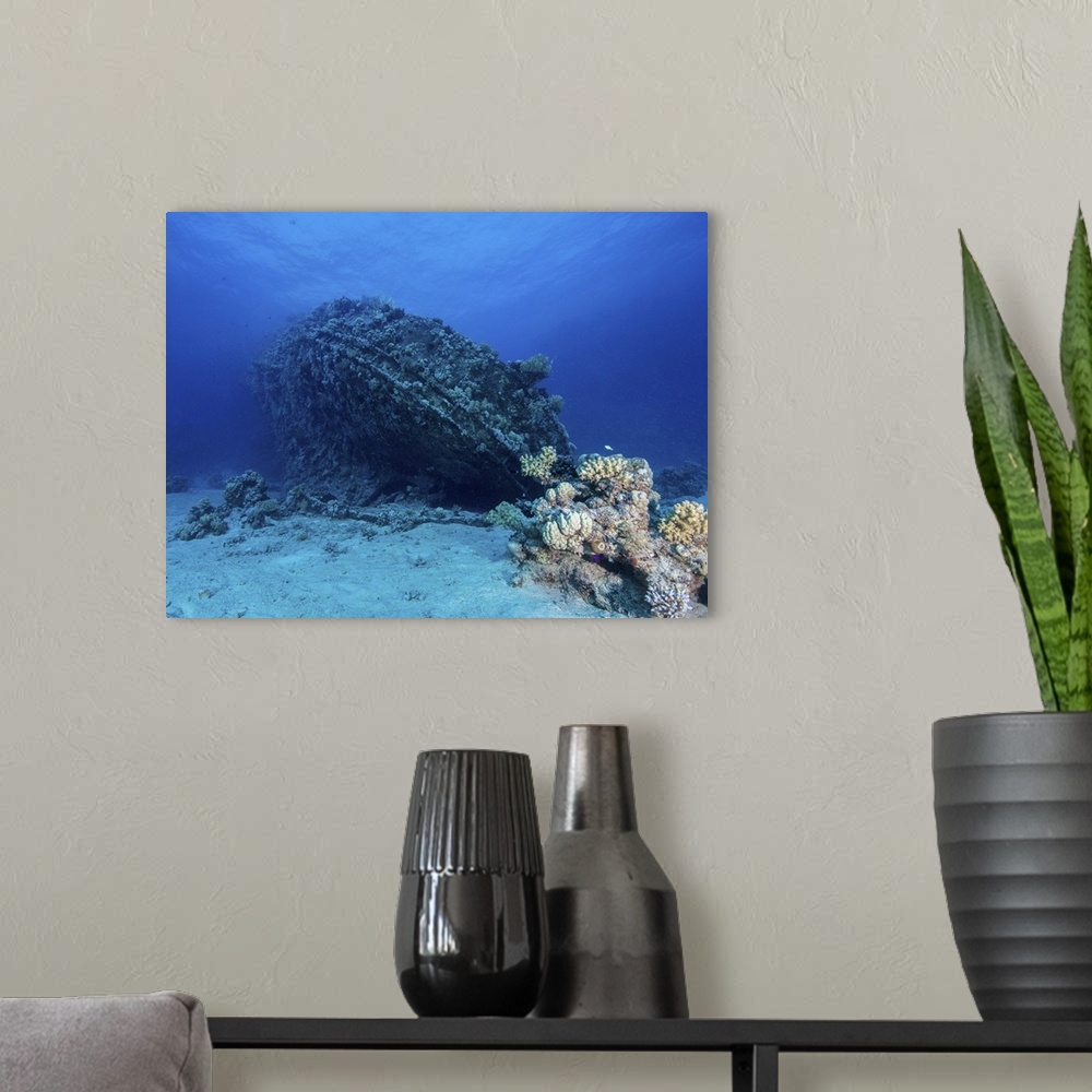 A modern room featuring The Chinese tugboat Tien Hsing shipwreck in the Abu Galawa reef, Red Sea, Egypt.