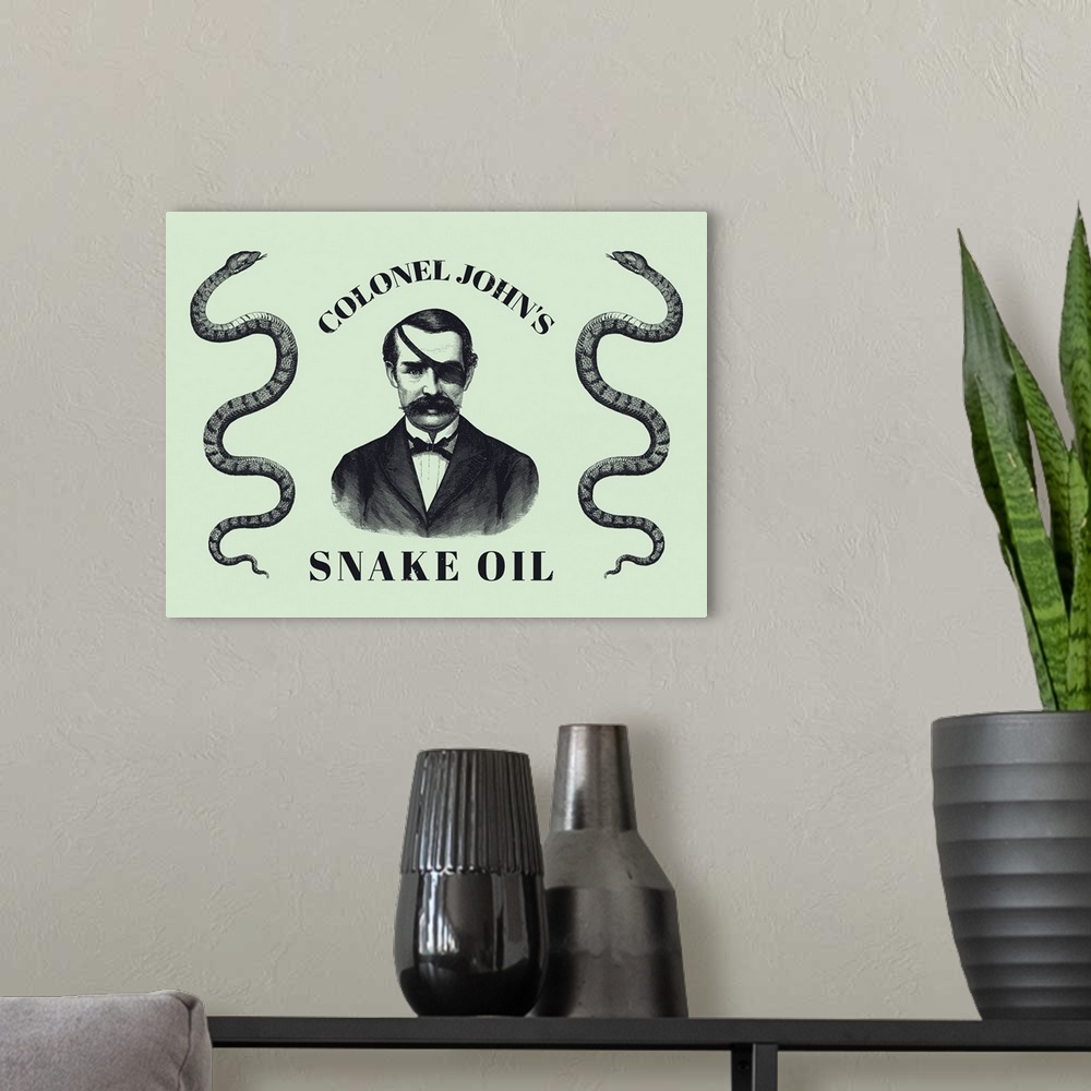 A modern room featuring Vintage style medical print of a man wearing an eyepatch and two snakes.