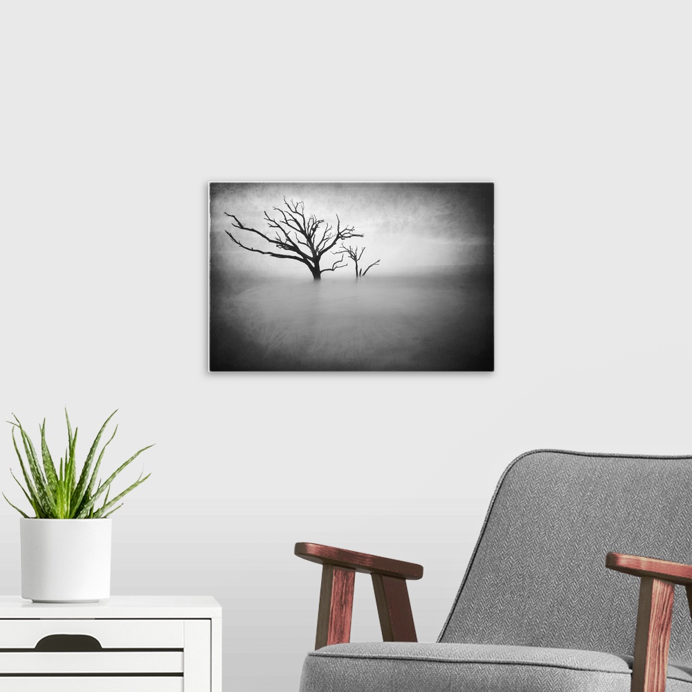 A modern room featuring Two bare trees growing out of the ocean off the South Carolina coast, in black and white.