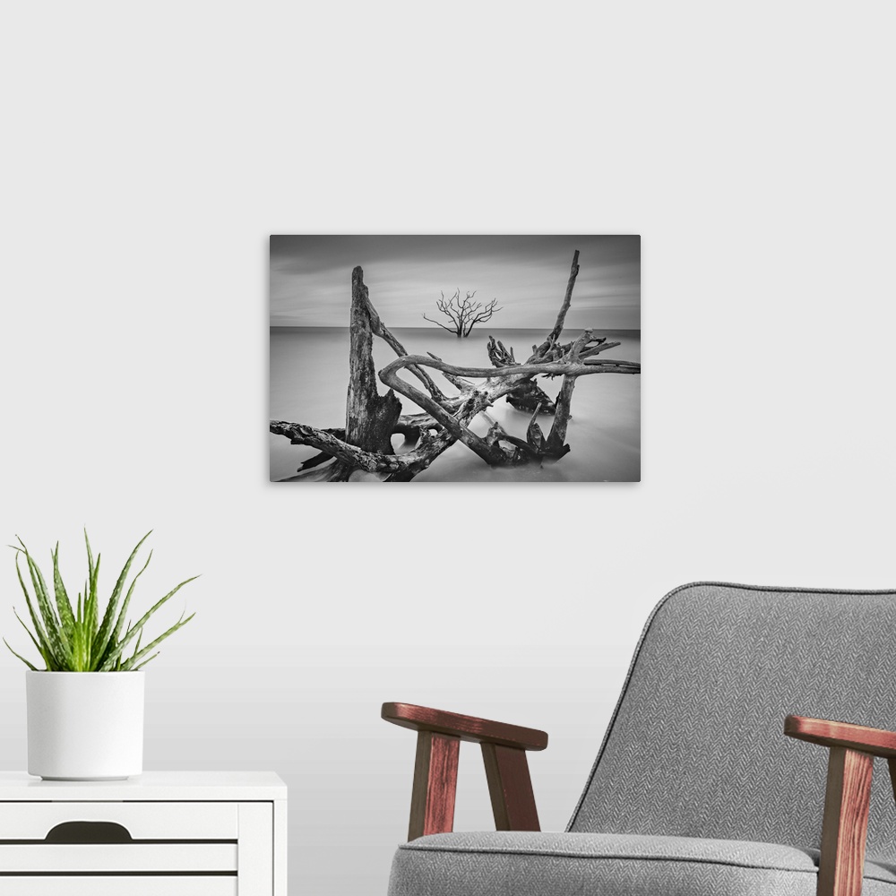 A modern room featuring Driftwood in shallow ocean water framing a lone tree in the distanec.