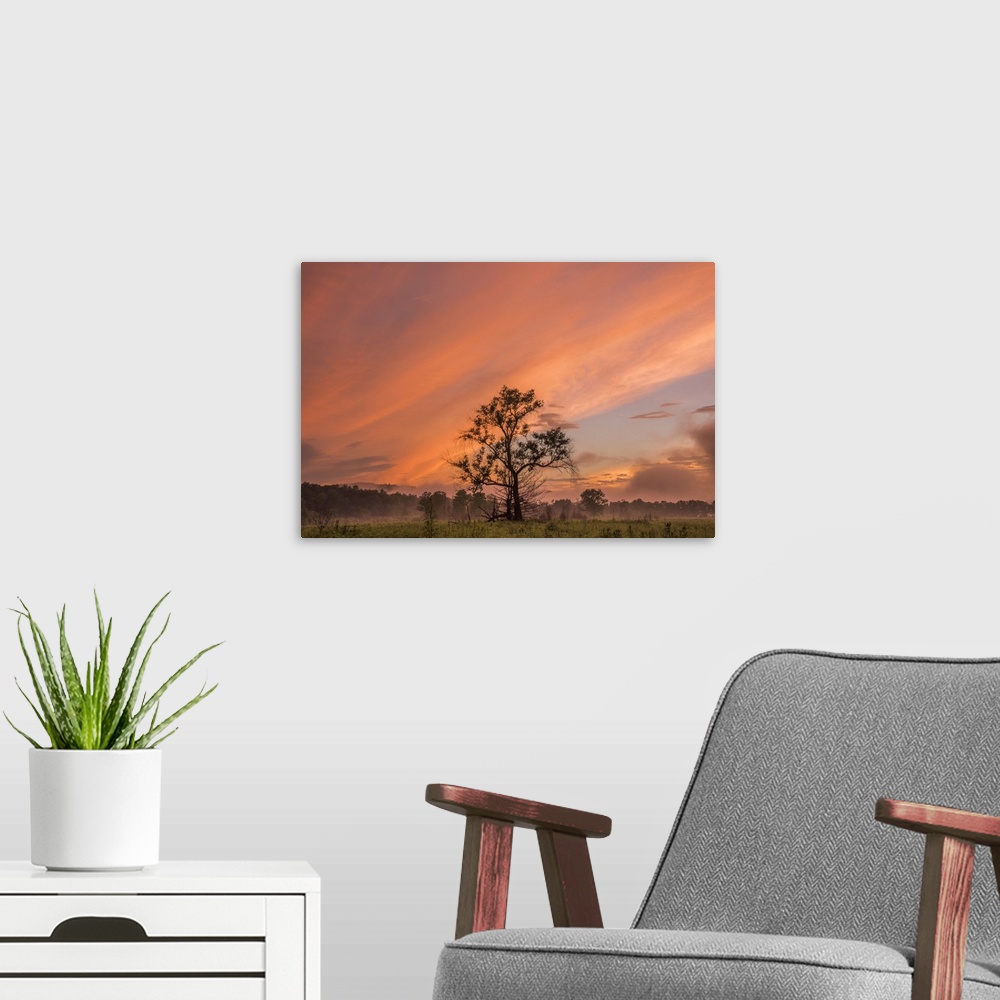 Sunset Tree Wall Art, Canvas Prints, Framed Prints, Wall Peels | Great ...