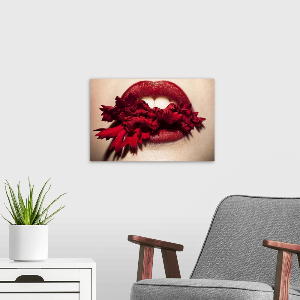 A modern room featuring Close up beauty photo of a mouth with red lips, biting down on a red flower