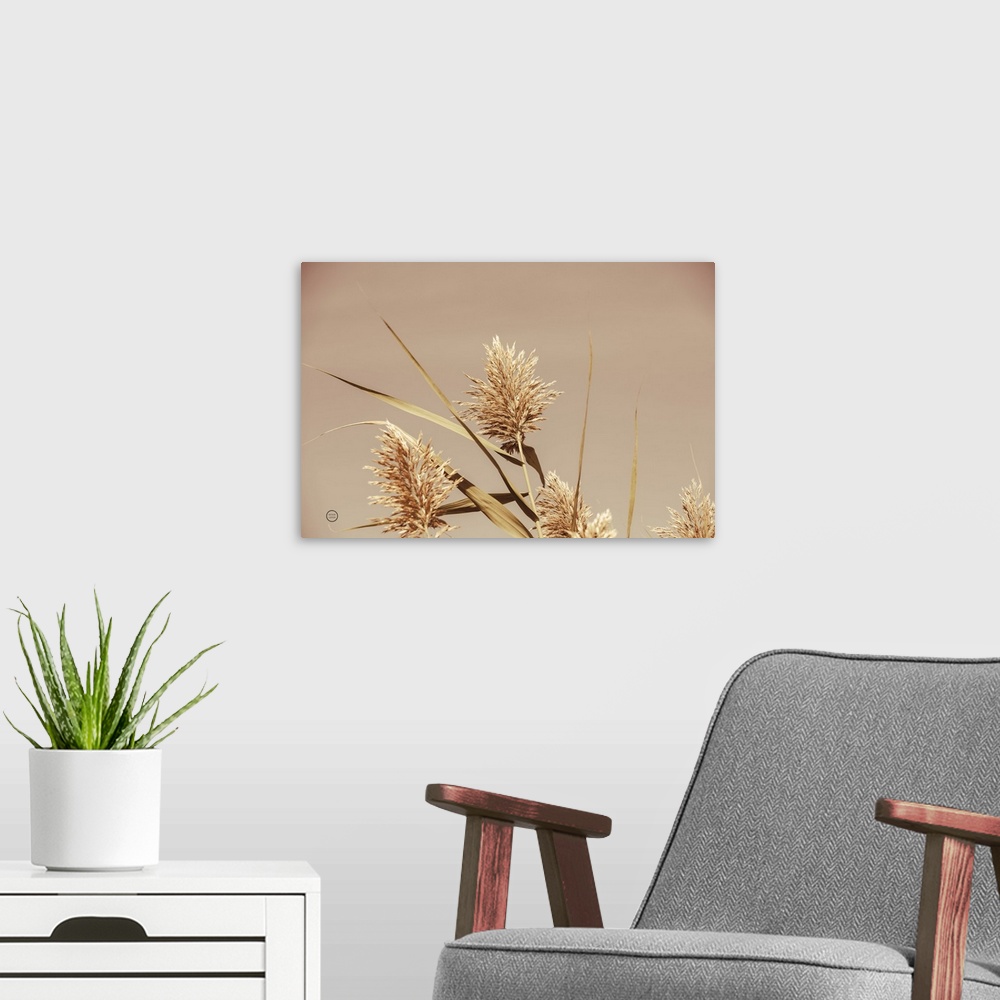A modern room featuring Noon Grasses III