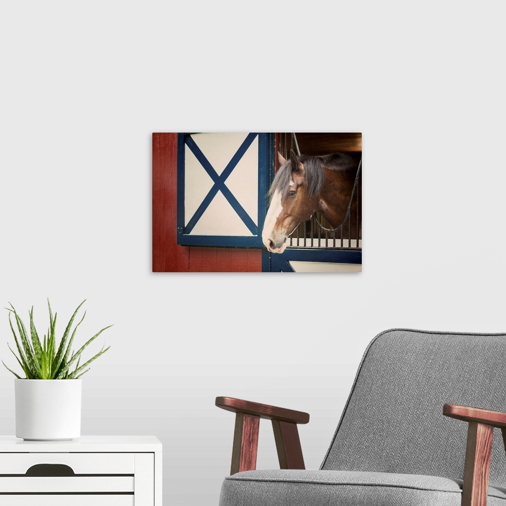 A modern room featuring Patriotic Pony I Crop