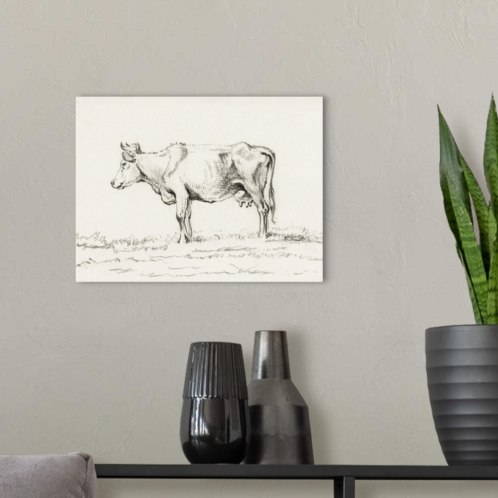 A modern room featuring Bernard Cow Sketch I