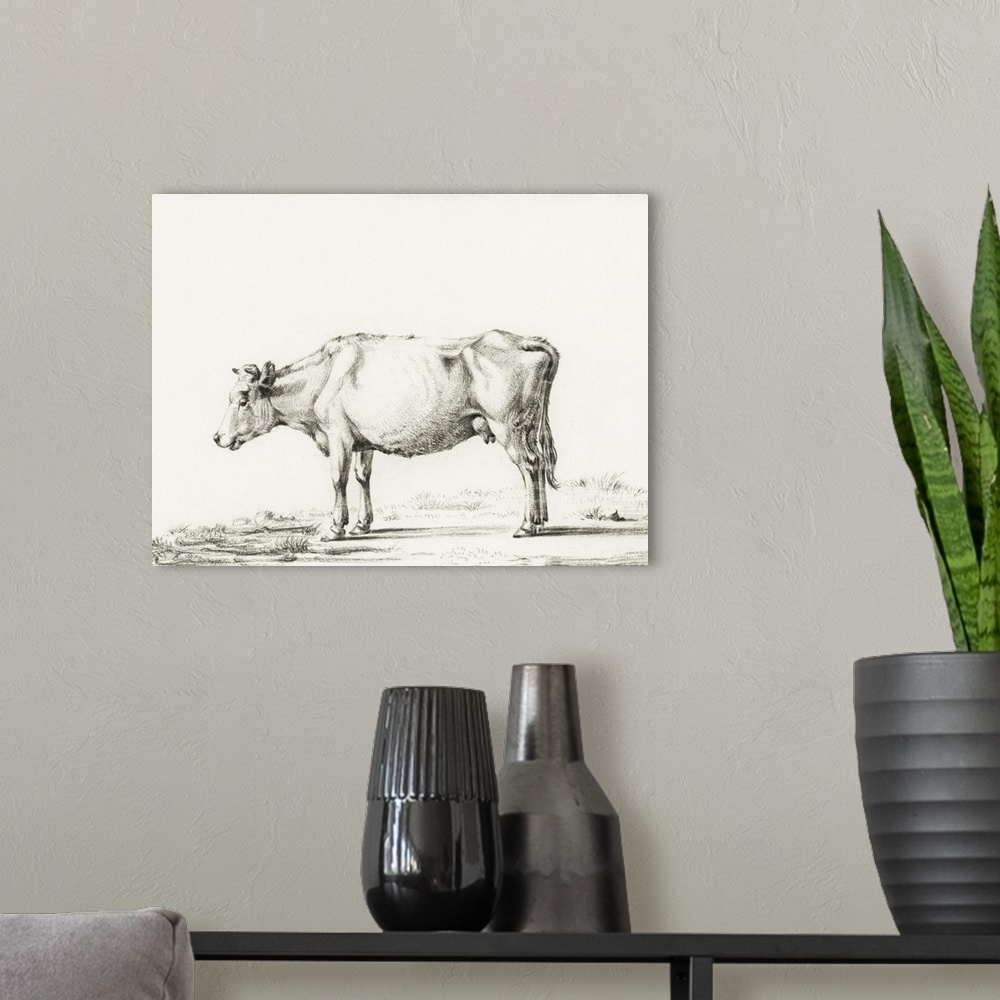 A modern room featuring Bernard Cow Sketch II