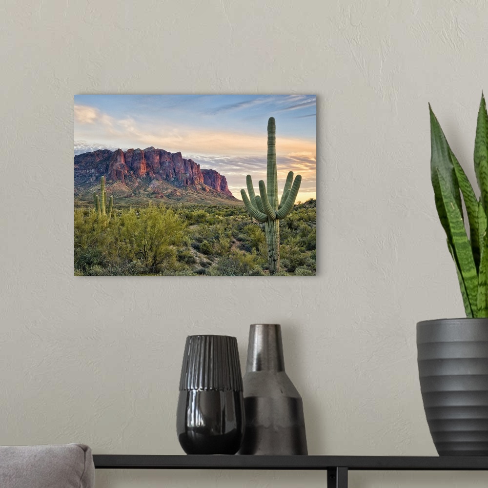 A modern room featuring Tall Saguaro cactuses growing in the desert at sunset.
