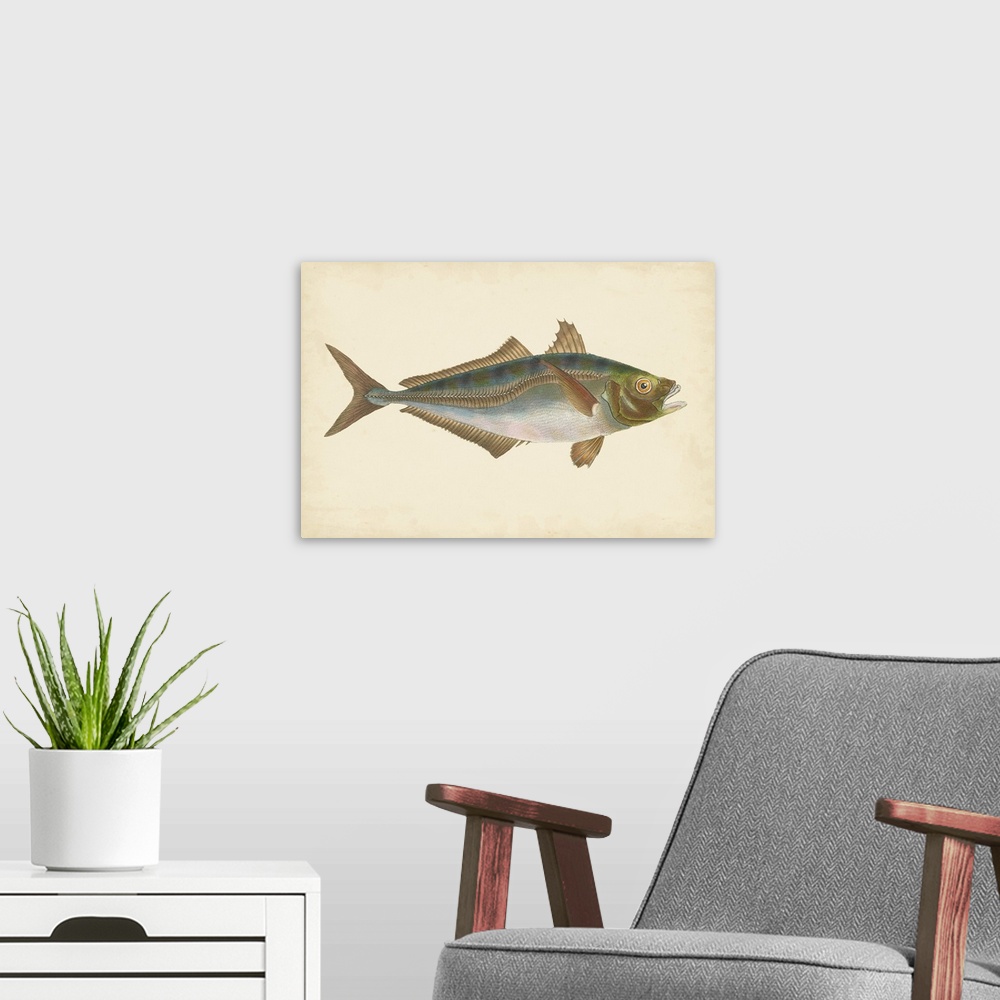 A modern room featuring Vintage stylized illustration of a fish against a parchment background.