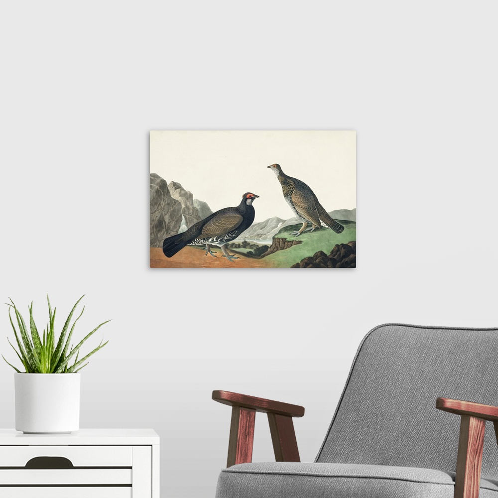 A modern room featuring Long-Tailed Or Dusky Grouse