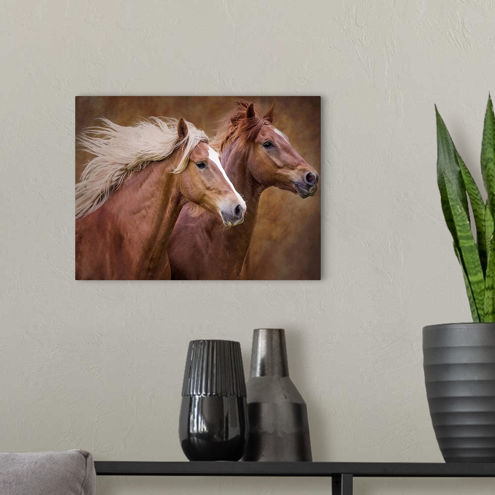 A modern room featuring A photograph of two brown horses running side by side.