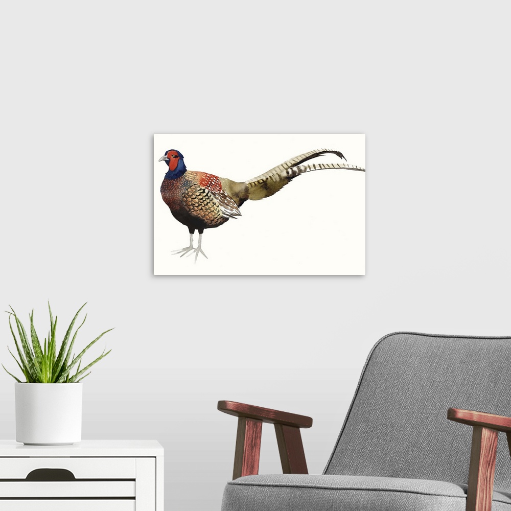 A modern room featuring Watercolor painting of a male pheasant against a white background.