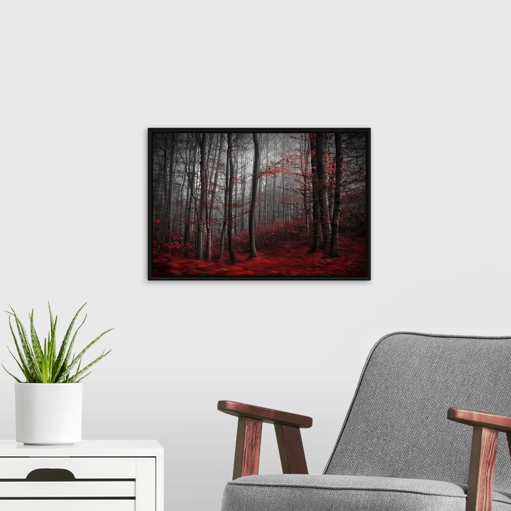 A modern room featuring Blurred motion image of a forest in the fall, with red leaves on the ground resembling a river.