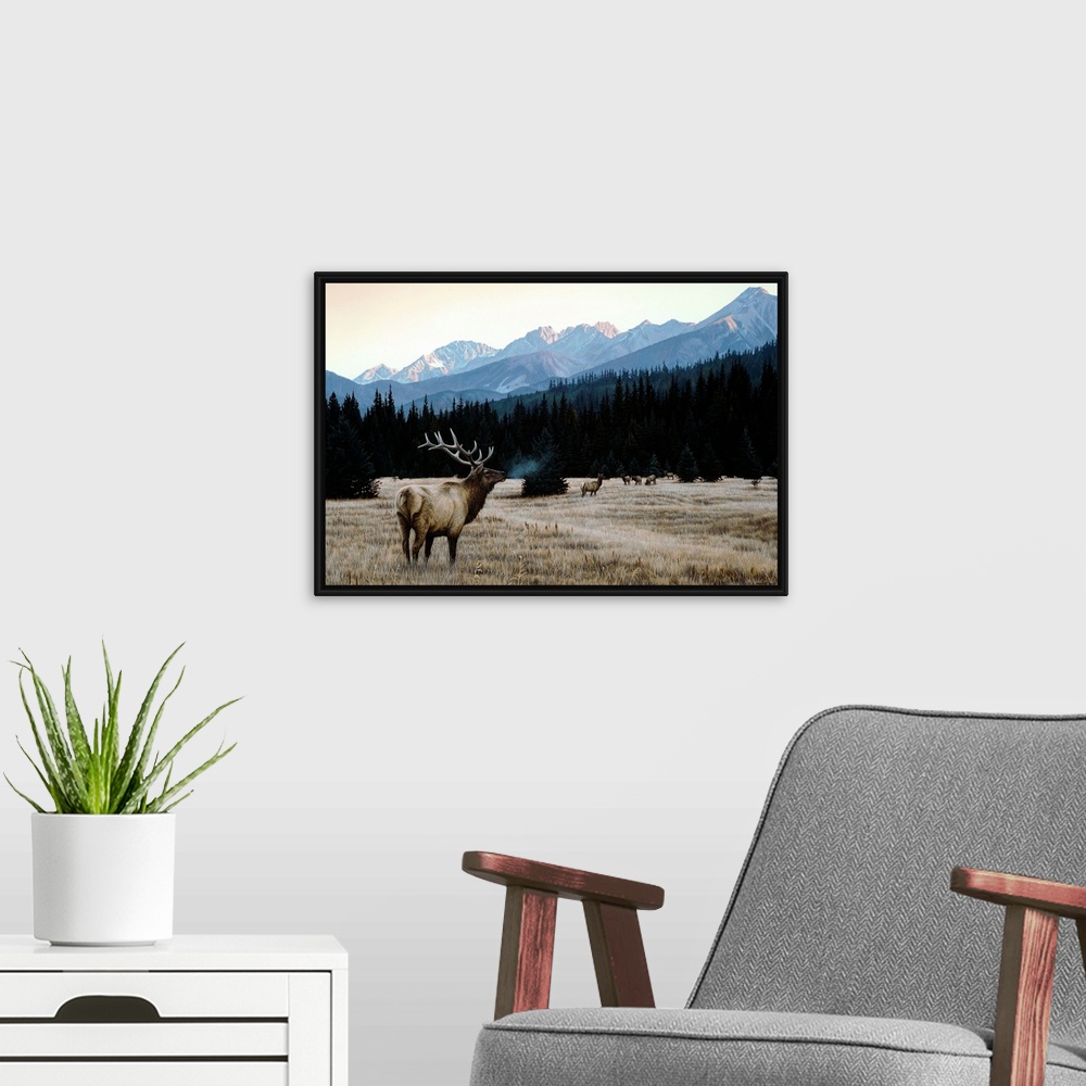 A modern room featuring A group of elk in an autumn meadow.
