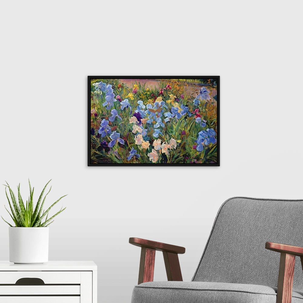 A modern room featuring A realistic photograph of a variety of multicolor irises growing beside a road in spring.