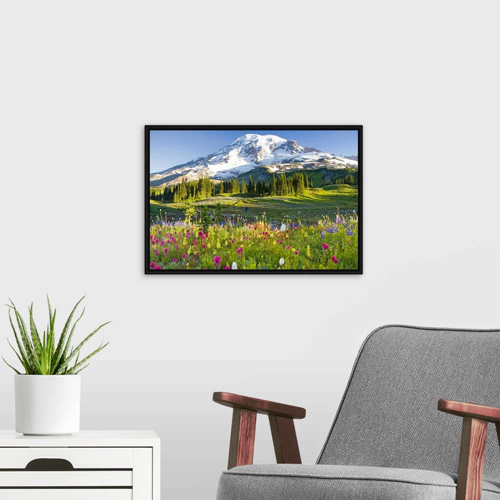 A modern room featuring Oversized, landscape photograph of a field of wildflowers including the purple arctic lupine (Lup...