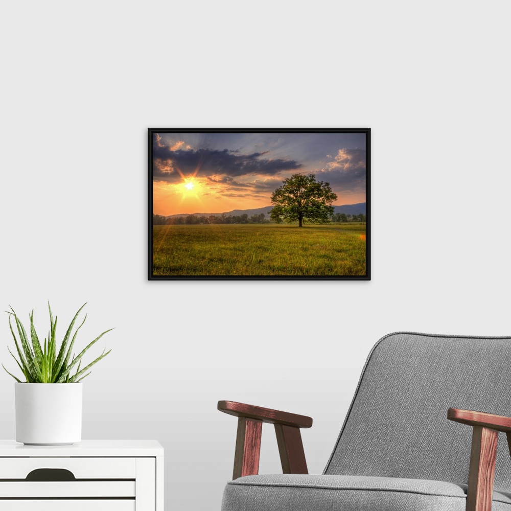 A modern room featuring Oversized, landscape photograph of a bright sunset over a vast field, with a single tree in the f...