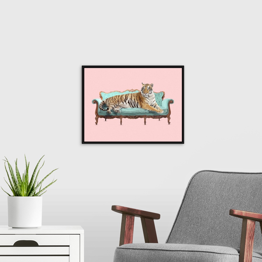 A modern room featuring Lazy Tiger