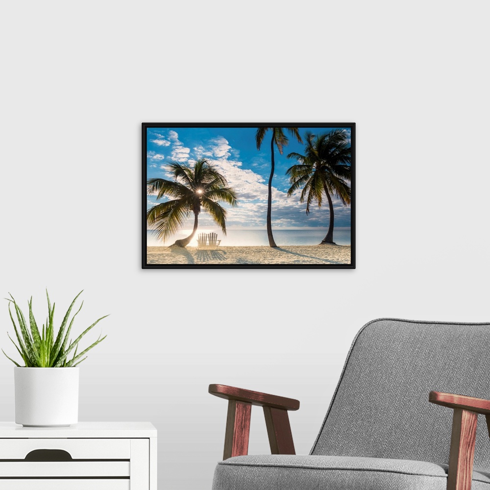 A modern room featuring Palm Trees And Love Seat,  Islamorada, Florida Keys, USA