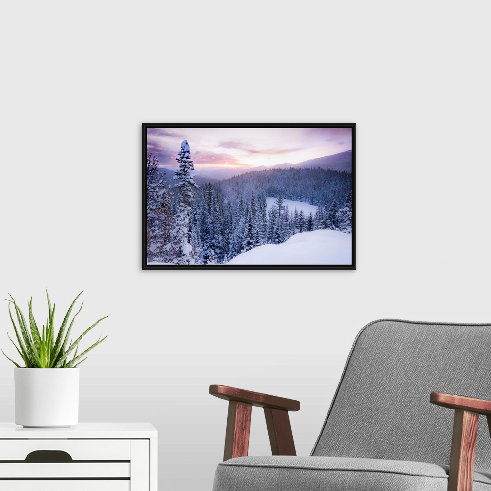 A modern room featuring Nature photograph of snow covered trees and  mountains in Colorado as the sun sets.