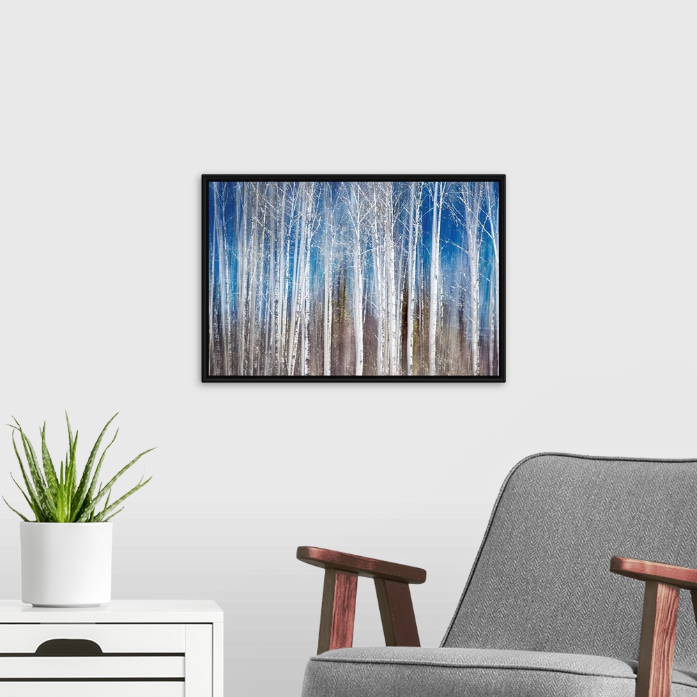 A modern room featuring Oversized, landscape painting of a dense forest of thin birch trees with bare branches, on a stre...