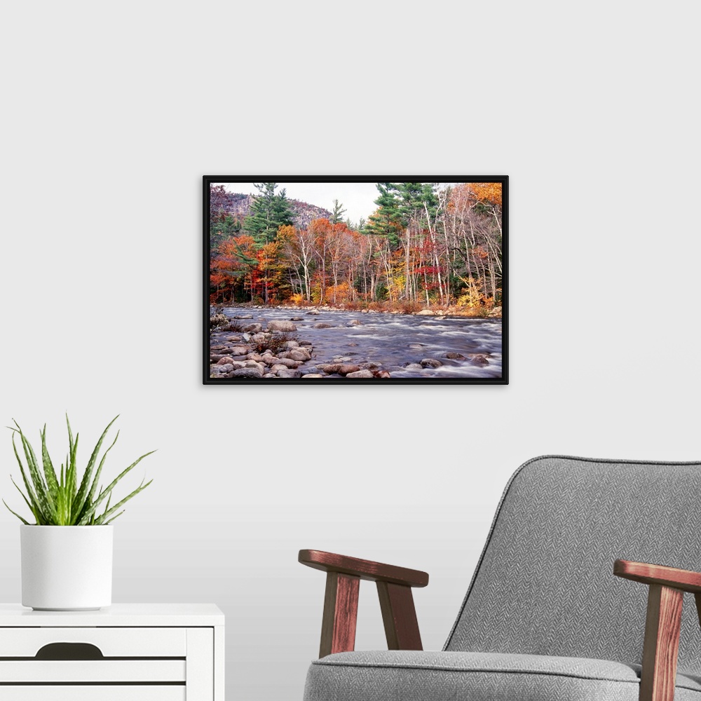 A modern room featuring This landscape photograph shows water running rapidly through a rock filled river bed lined with ...