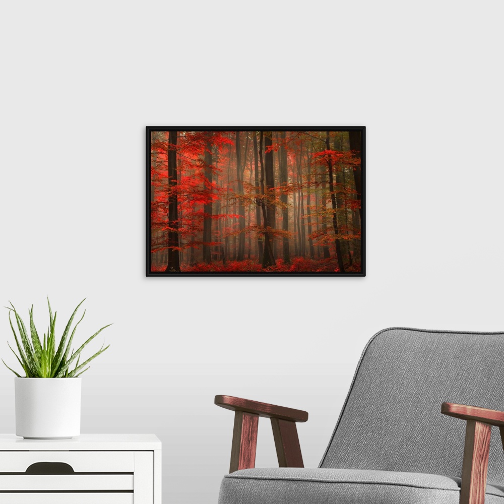 A modern room featuring A landscape photograph of a forest full of autumn leaves and misty fog.