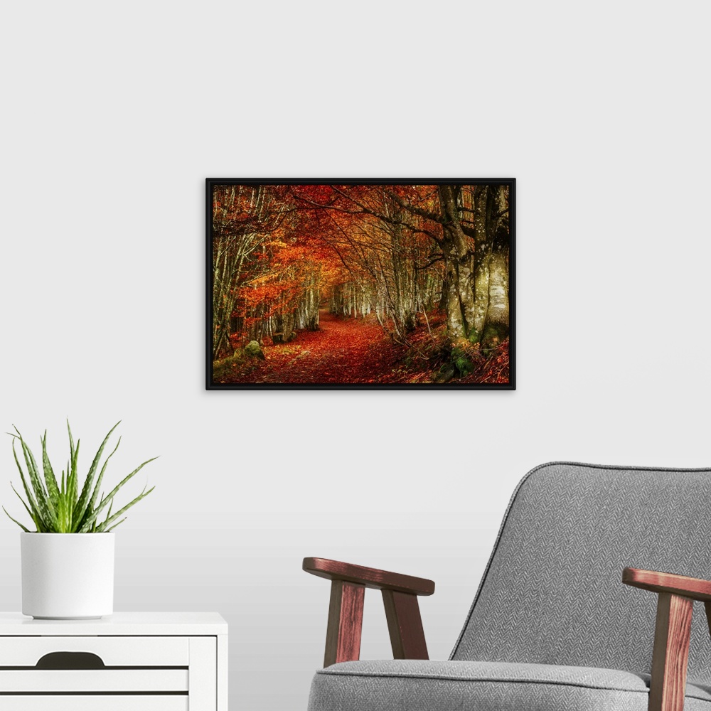 A modern room featuring Forest with red and orange fall leaves in the branches and covering the floor, appearing to glow.