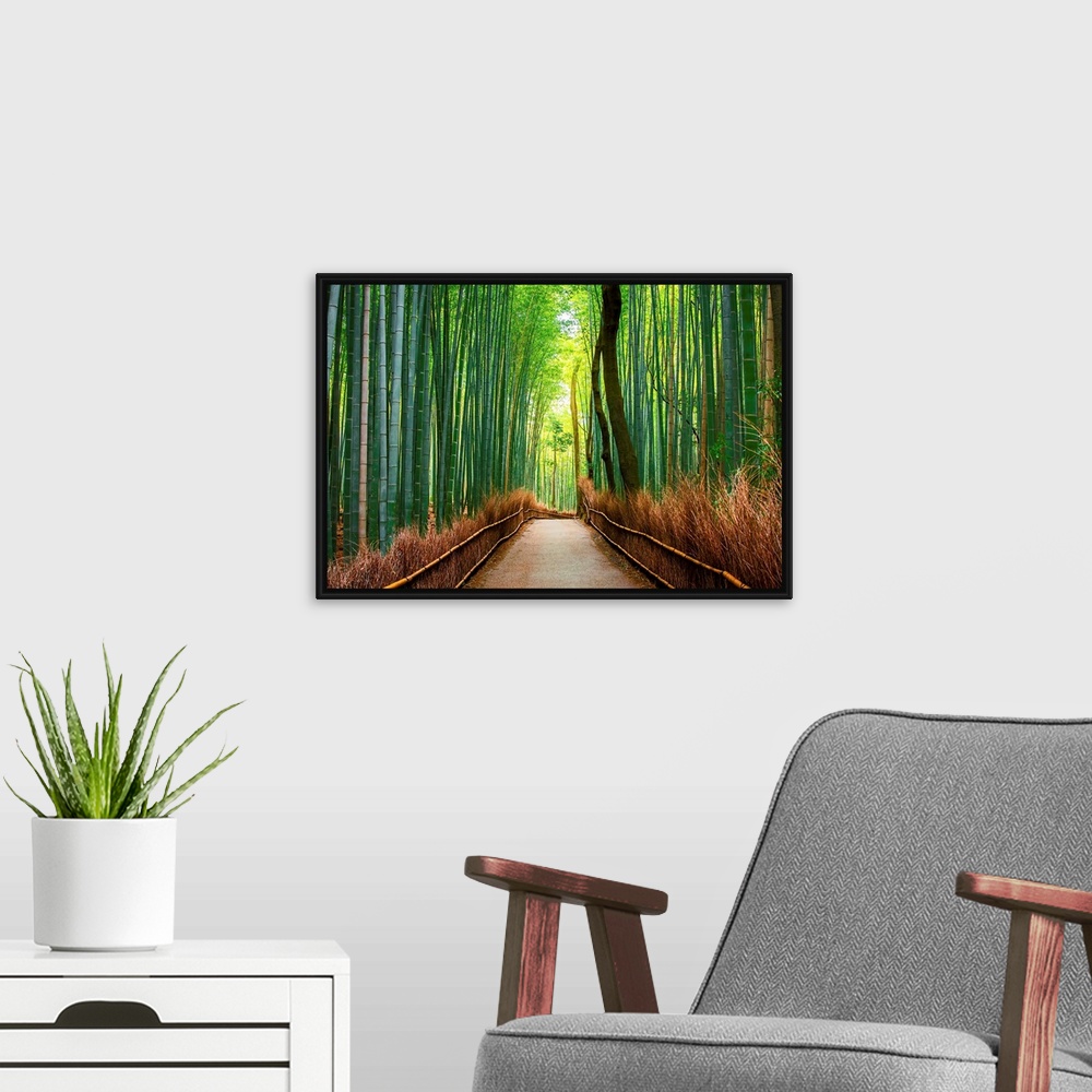 A modern room featuring Bamboo forest in Arashiyama in western Kyoto, Japan.