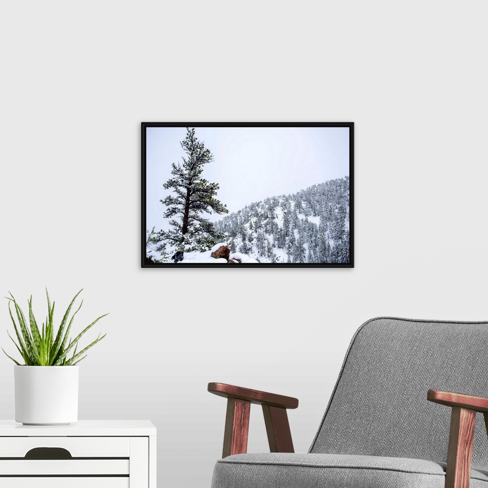 A modern room featuring Snowy forest landscape surrounds a lone tree upon a hill accompanied by a dog.