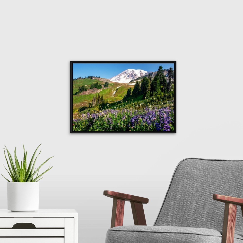 A modern room featuring Mount Rainer's renowned wildflowers bloom for a limited amount of time every year.