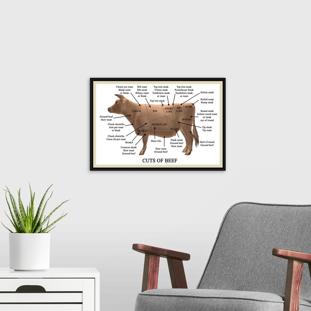 A modern room featuring Cuts of beef. Computer artwork illustrating primal and subprimal cuts of beef and their names. Pr...