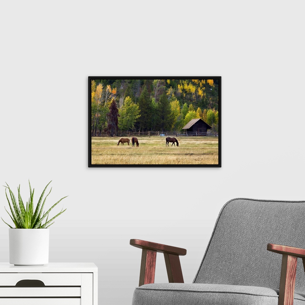 A modern room featuring Horses in a corral at the foot of a tree covered mountain.