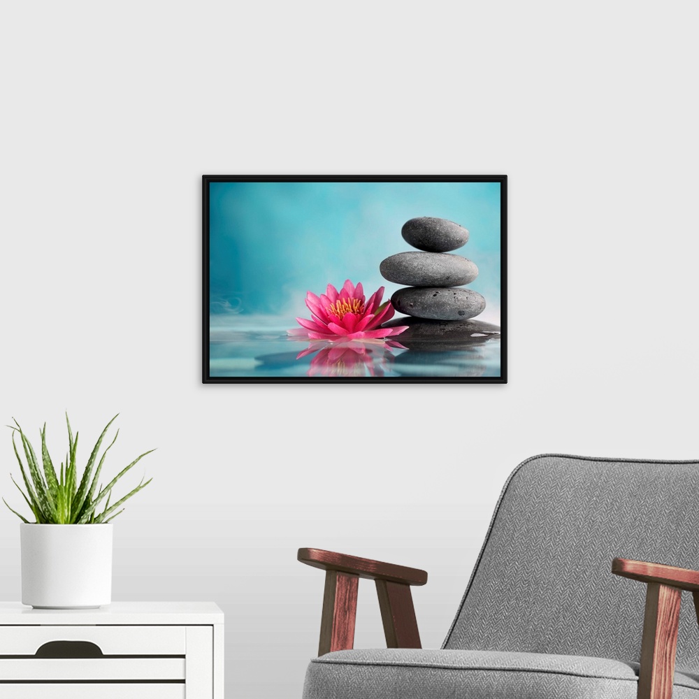A modern room featuring Spa still life with water lily and zen stone in a serenity pool.