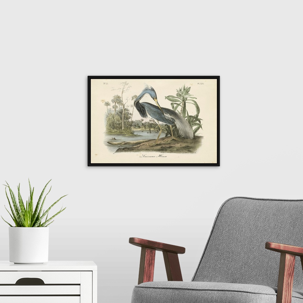 A modern room featuring Contemporary artwork of a vintage stylized bird illustration.
