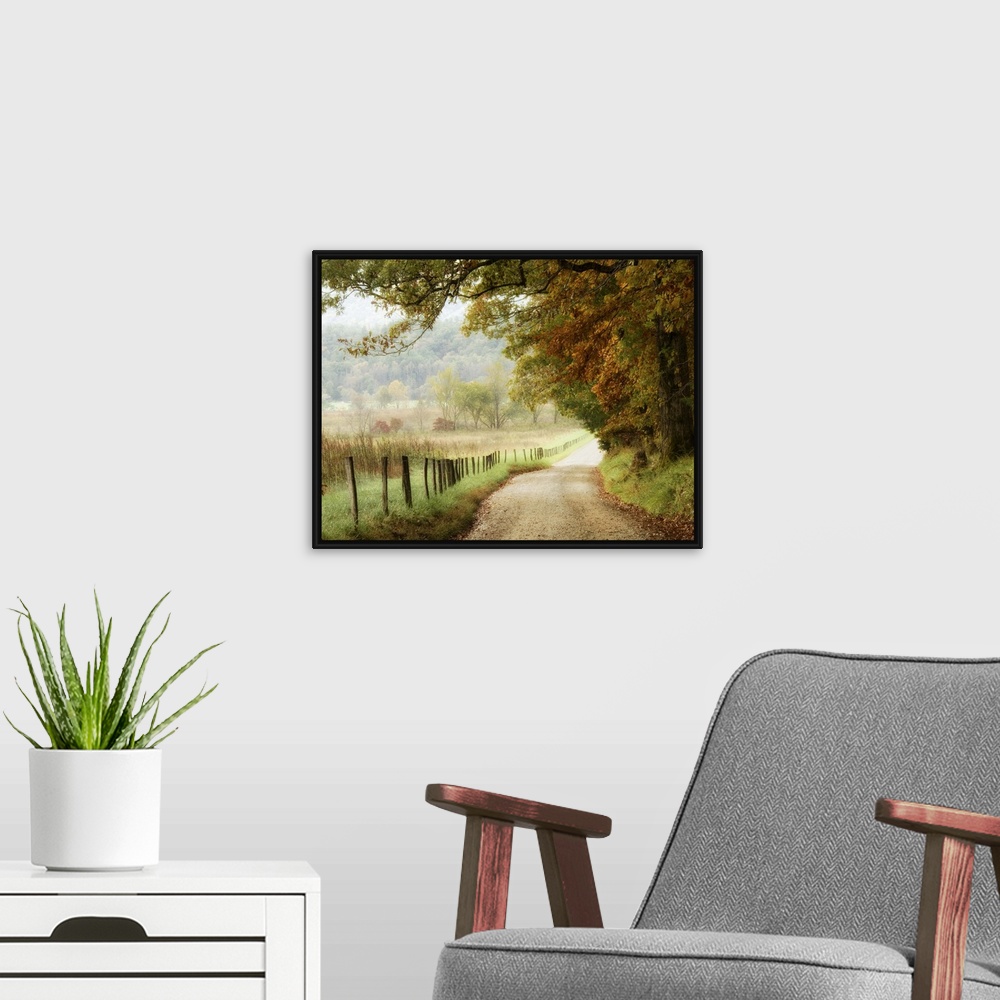 A modern room featuring Autumn on a Country Road