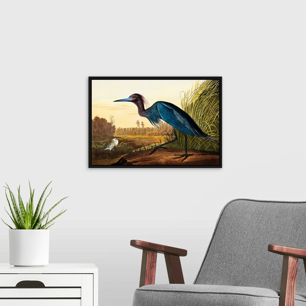 A modern room featuring Blue Crane Or Heron