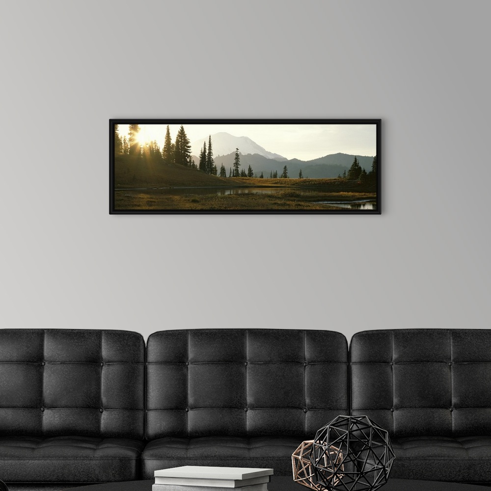 A modern room featuring Horizontal, large photograph of the sun setting over a tree covered hillside in Mount Rainier Nat...