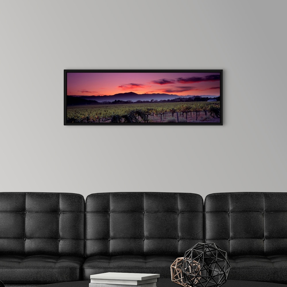 A modern room featuring Panoramic photograph of a vineyard with mountains and a sunset in the background.